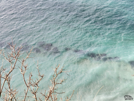 Обзор смартфона HONOR Magic 8 Pro: немного лучше во всем