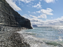 Обзор смартфона HONOR Magic 8 Pro: немного лучше во всем