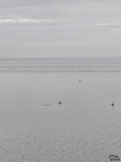 Обзор смартфона HONOR Magic 8 Pro: немного лучше во всем