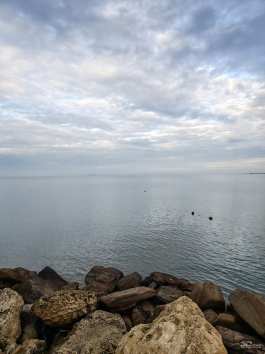 Обзор смартфона HONOR Magic 8 Pro: немного лучше во всем