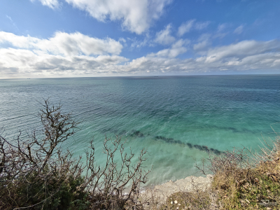 Обзор смартфона HONOR Magic 8 Pro: немного лучше во всем