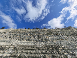 Обзор смартфона HONOR Magic 8 Pro: немного лучше во всем