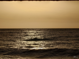 Обзор смартфона Sony Xperia 1 VII: на последнем дыхании