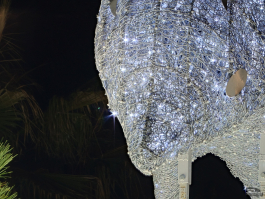 Обзор смартфона Sony Xperia 1 VII: на последнем дыхании