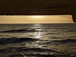 Обзор смартфона Sony Xperia 1 VII: на последнем дыхании