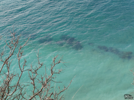 Обзор смартфона Sony Xperia 1 VII: на последнем дыхании