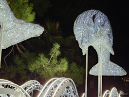 Обзор смартфона Sony Xperia 1 VII: на последнем дыхании