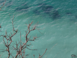 Обзор смартфона Sony Xperia 1 VII: на последнем дыхании