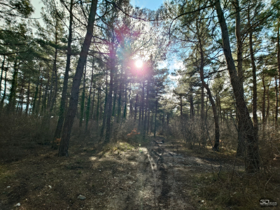 Обзор смартфона Sony Xperia 1 VII: на последнем дыхании