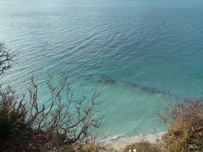 Обзор смартфона Sony Xperia 1 VII: на последнем дыхании