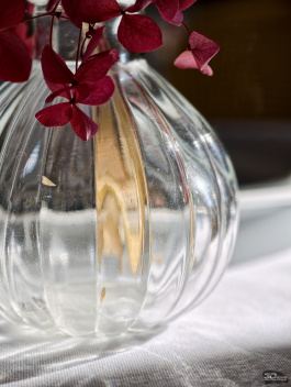 Обзор смартфона vivo X300 Pro: маленькие изменения, которые ведут к большому результату