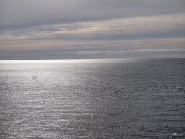 Обзор смартфона vivo X300 Pro: маленькие изменения, которые ведут к большому результату