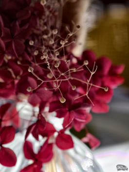 Обзор смартфона vivo X300 Pro: маленькие изменения, которые ведут к большому результату