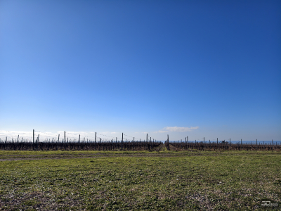 Обзор смартфона vivo X300 Pro: маленькие изменения, которые ведут к большому результату