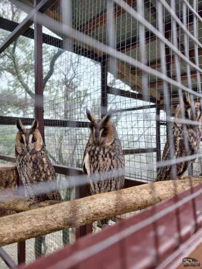 Обзор смартфона vivo X300 Pro: маленькие изменения, которые ведут к большому результату