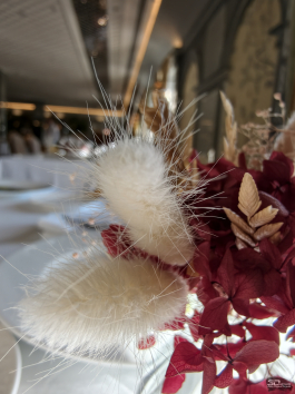 Обзор смартфона vivo X300 Pro: маленькие изменения, которые ведут к большому результату