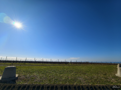 Обзор смартфона vivo X300 Pro: маленькие изменения, которые ведут к большому результату