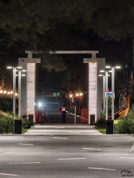 Обзор смартфона vivo X300 Pro: маленькие изменения, которые ведут к большому результату