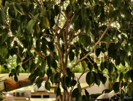 Обзор смартфона vivo X300 Pro: маленькие изменения, которые ведут к большому результату