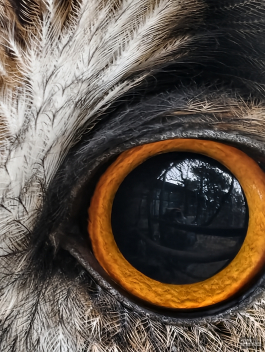 Обзор смартфона vivo X300 Pro: маленькие изменения, которые ведут к большому результату