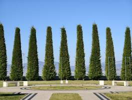 Обзор смартфона vivo X300 Pro: маленькие изменения, которые ведут к большому результату