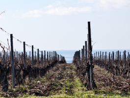 Обзор смартфона vivo X300 Pro: маленькие изменения, которые ведут к большому результату