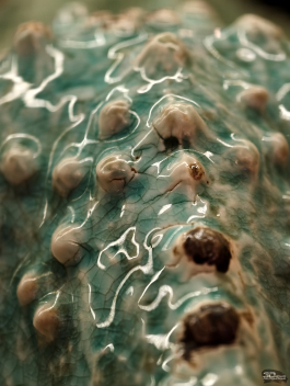 Обзор смартфона vivo X300 Pro: маленькие изменения, которые ведут к большому результату