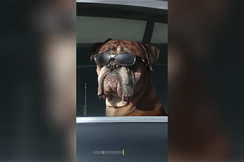 Samsung показала первые тизеры Galaxy S26 &mdash; акцент на зум и ночную съёмку