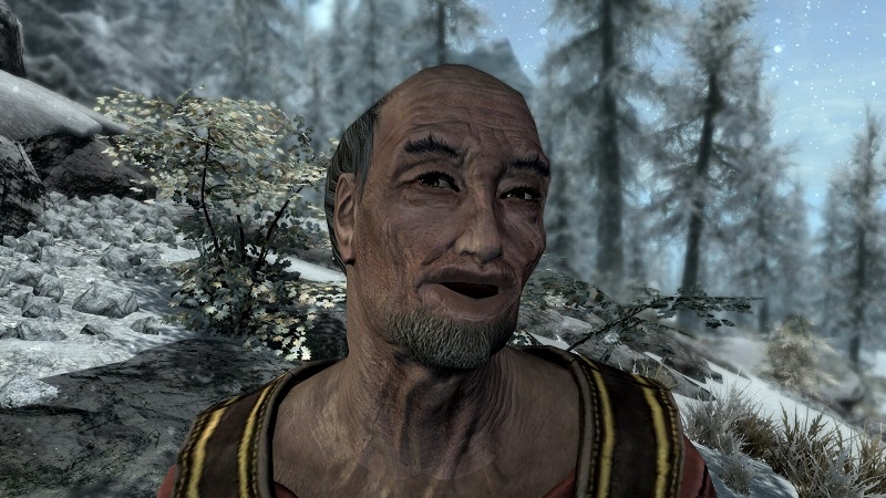 Тодд Говард заверил, что Bethesda &laquo;ничего не генерирует&raquo; для The Elder Scrolls VI  с помощью ИИ