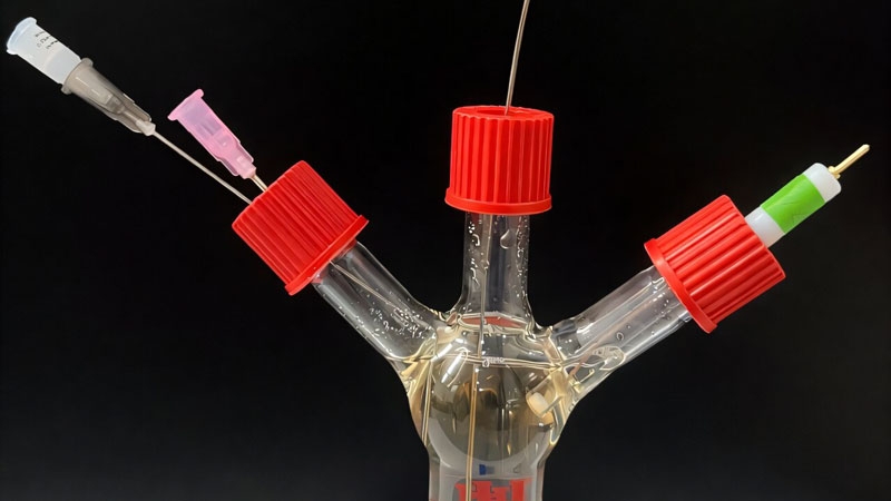 Бактерии научили вырабатывать&nbsp;электричество при обнаружении опасных веществ &mdash;&nbsp;для этого их &laquo;заключили под стражу&raquo;