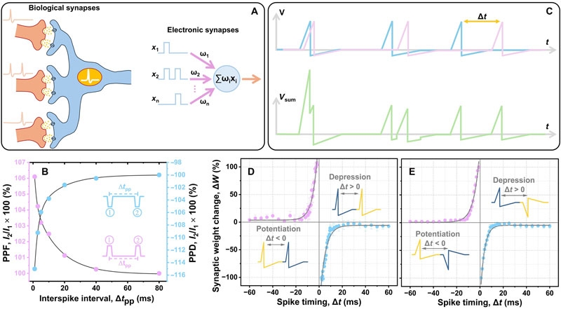 Британские учёные отказались от канонического мемристора и совершили прорыв в аналоговой памяти