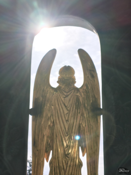 Обзор Infinix NOTE 60 Pro: смартфон с двумя экранами