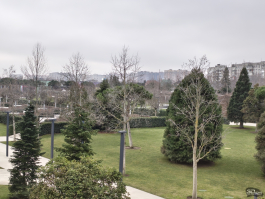 Обзор Infinix NOTE 60 Pro: смартфон с двумя экранами