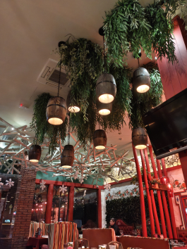 Обзор Infinix NOTE 60 Pro: смартфон с двумя экранами