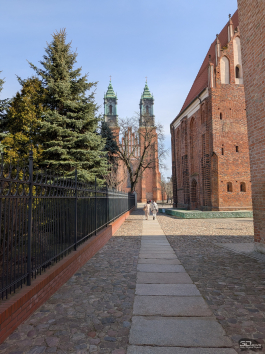 Обзор смартфона Google Pixel 10a: Google, где изменения?