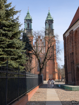 Обзор смартфона Google Pixel 10a: Google, где изменения?