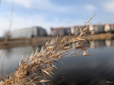 Обзор смартфона Google Pixel 10a: Google, где изменения?