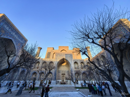 Обзор смартфона HUAWEI Mate 80 Pro: консервативный поворот