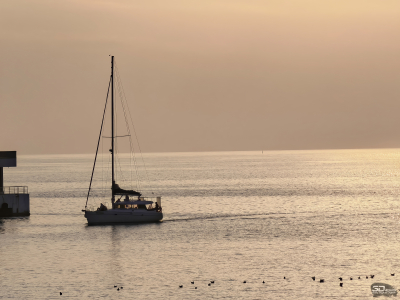 Обзор смартфона HUAWEI Mate 80 Pro: консервативный поворот