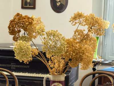 Обзор смартфона HUAWEI Mate 80 Pro: консервативный поворот