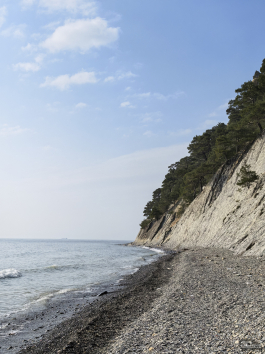 Обзор смартфона HUAWEI Mate 80 Pro: консервативный поворот