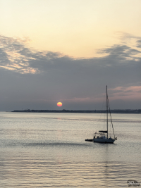 Обзор смартфона HUAWEI Mate 80 Pro: консервативный поворот