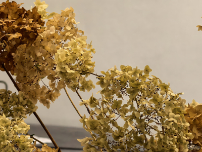 Обзор смартфона HUAWEI Mate 80 Pro: консервативный поворот