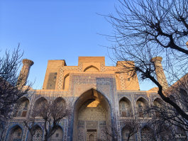 Обзор смартфона HUAWEI Mate 80 Pro: консервативный поворот