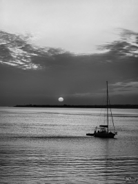 Обзор смартфона HUAWEI Mate 80 Pro: консервативный поворот