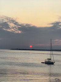 Обзор смартфона HUAWEI Mate 80 Pro: консервативный поворот