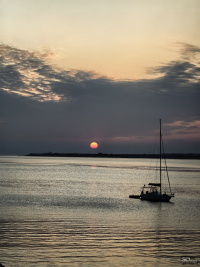 Обзор смартфона HUAWEI Mate 80 Pro: консервативный поворот