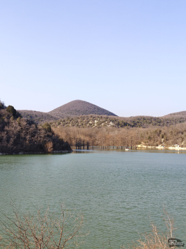 Обзор смартфона realme 16 Pro+: самый красивый камерофон