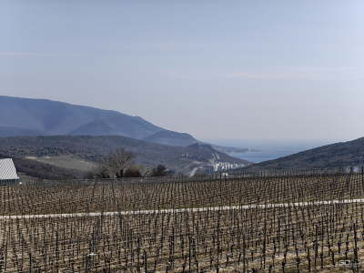 Обзор смартфона realme 16 Pro+: самый красивый камерофон