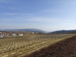 Обзор смартфона realme 16 Pro+: самый красивый камерофон